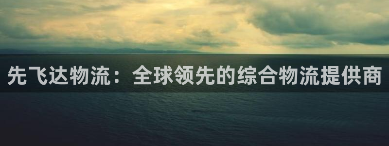 南宫28圈怎么注册：先飞达物流：全球