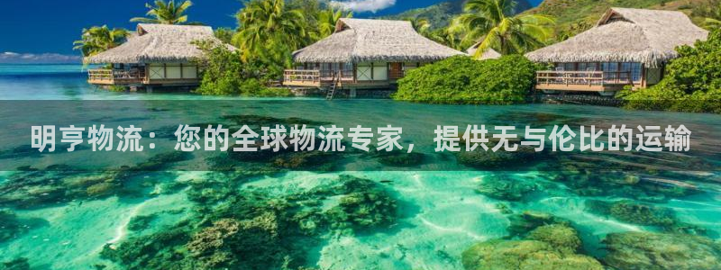 28圈登录网：明亨物流：您的全球物流