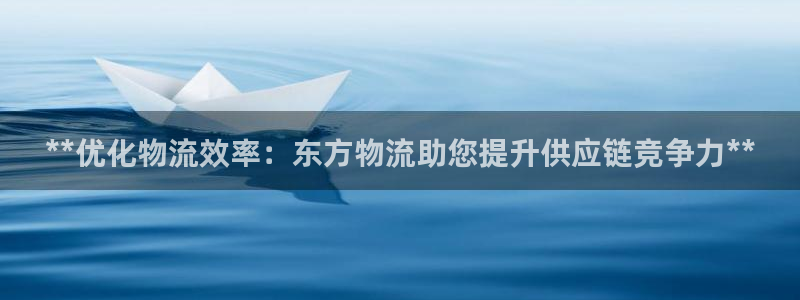 28圈返水怎么算的：**优化物流效率