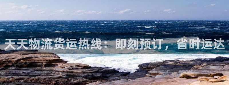 28圈怎么注册游戏名字：天天物流货运