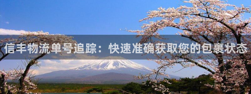 28圈麻将胡了爆分视频：信丰物流单号