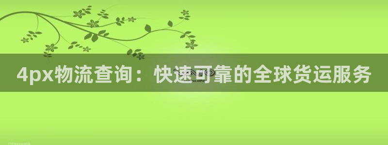 28圈取保：4px物流查询：快速可靠