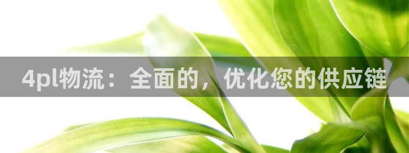 28圈注册网页：4pl物流：全面的，