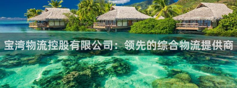 28圈麻将胡了：宝湾物流控股有限公司