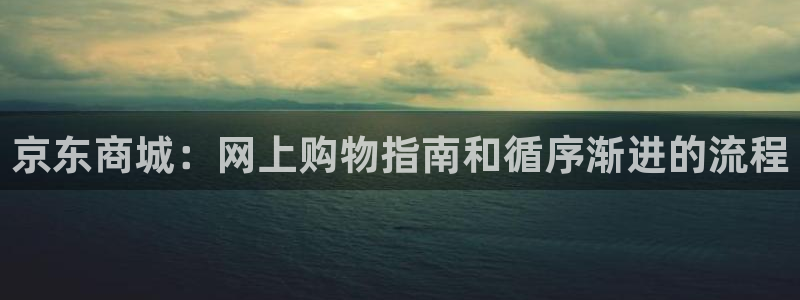 28圈预测加拿大